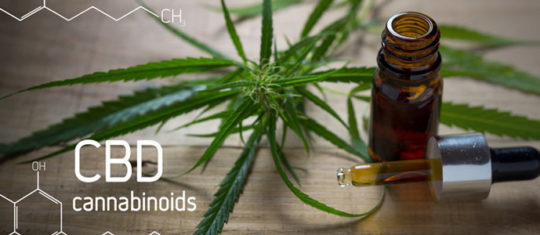 CBD légal