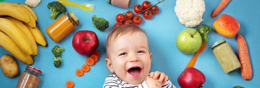 Alimentation bébé