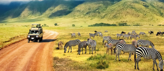 Un voyage authentique