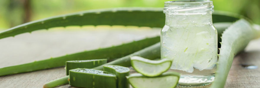 Les bienfaits de l'Aloe Vera