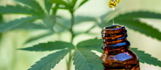Consommer le CBD