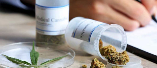 cannabis médical