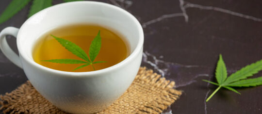 tisane cbd